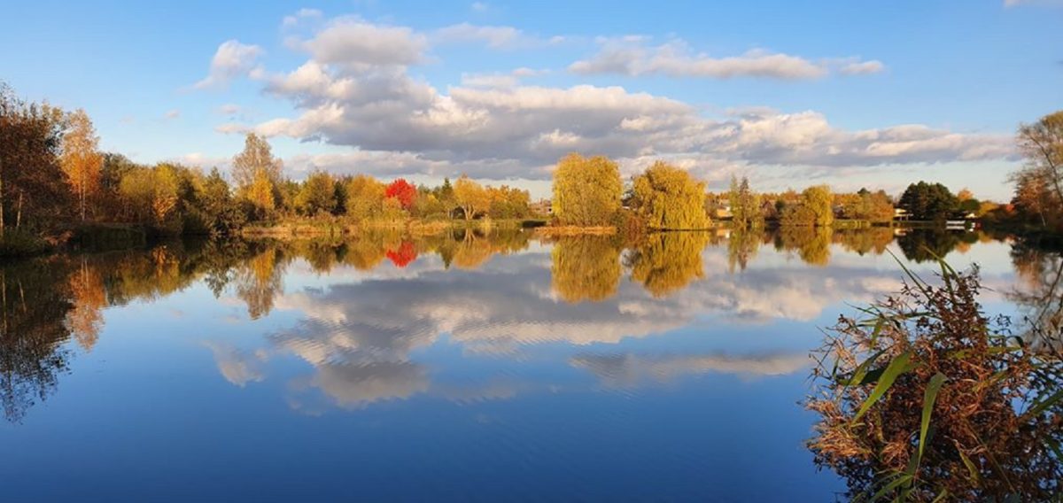 Copie de couleurs du jour aux étangs ville de Don
