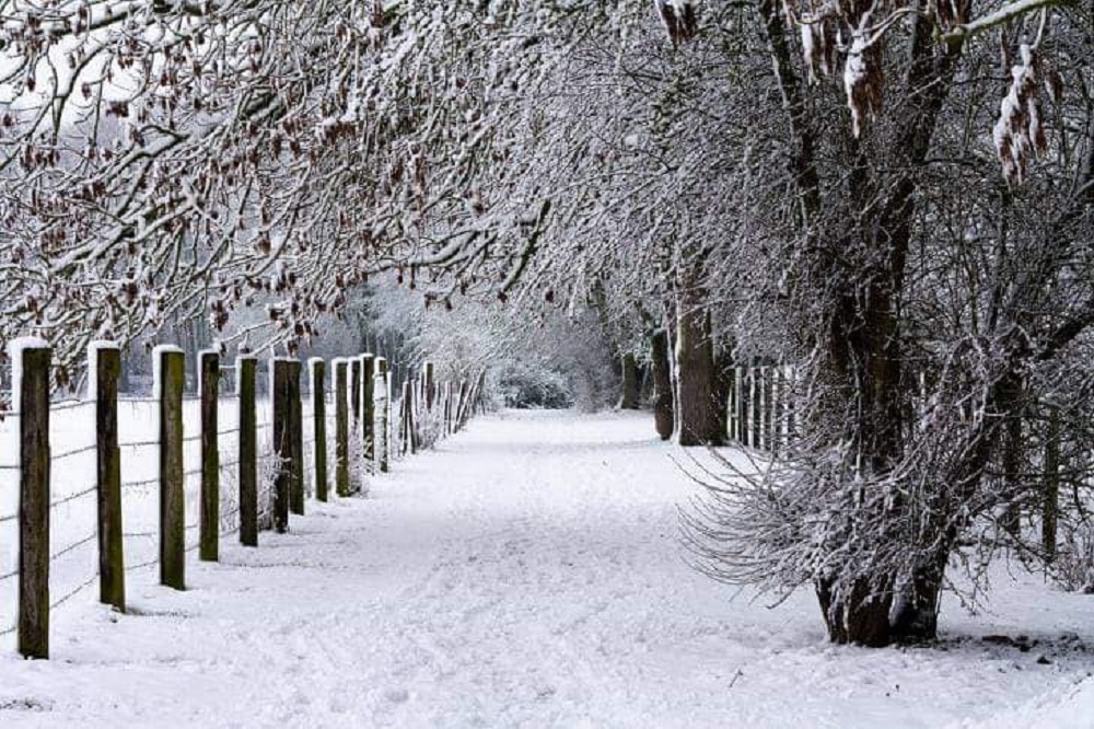 chemin de promenade en hiver ville de Don
