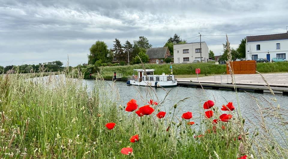 coquelicots à la halte fluviale de Don